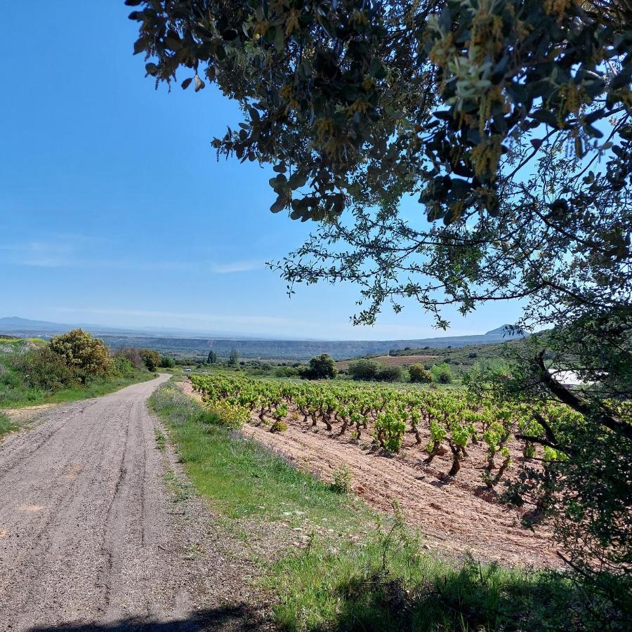 Sojuela Turismo Golf Naturaleza Y Vino 外观 照片